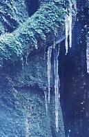 msotw9_temp0