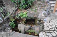 DSC_5205.JPG