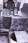 msotw9_temp0